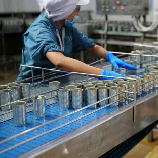 Certificación ISO 9001 Sector Alimenticio