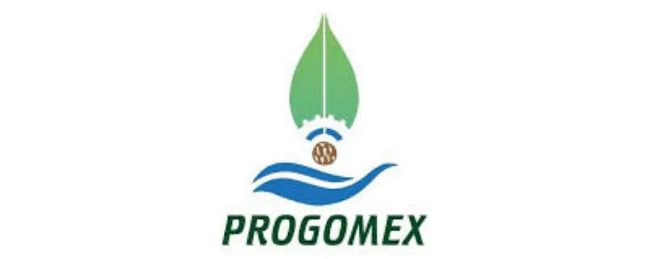 ISO 9001 Progromex
